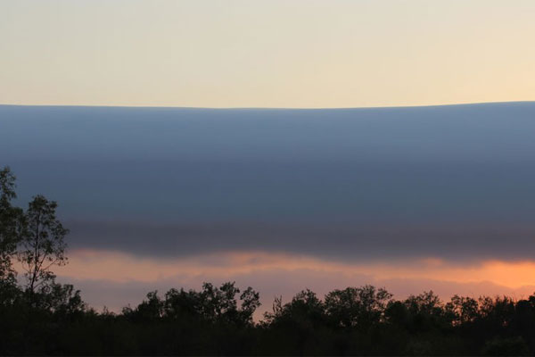 The Morning Glory Festival